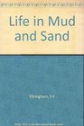 Life in mud and sand