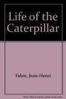 The Life of the Caterpilar