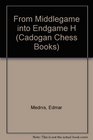From the Middlegame into the Endgame