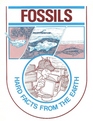 Fossils Hard Facts from the Earth