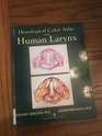 Histological Color Atlas of the Human Larynx