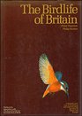 Bird Life of Britain