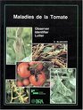 Enfermedades del Tomate