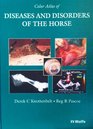 Diseases and Disorders of the Horse