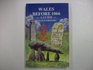 Wales Before 1066 A Guide