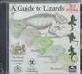 A Guide to Lizards Basics Procedures Diseases Resources