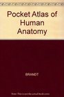 Pocket Atlas of Human Anatomy