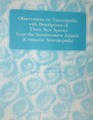 OBSERVATIONS ON NANNOSQUILLA WITH DESCRIPTIONS OF THREE NEW SPECIES FROM THE NORTHWESTERN ATLANTIC ( CRUSTACEA : STOMATOPODA )
