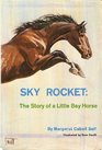 Sky rocket The story of a little bay horse