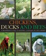 Chickens Ducks and Bees A Beginner's Guide to Keeping Livestock in the Garden