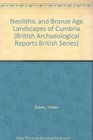 Neolithic and Bronze Age Landscapes of Cumbria BAR BS463