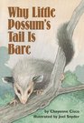 Why Little Possum's Tail Is Bare