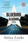 Bluebird, Bluebird (Highway 59, Bk 1)