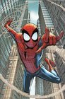 Amazing SpiderMan  Behind the Mask Young Readers Novel