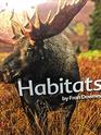 Habitats Big Ideas