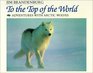 To the top of the world Adventures with Arctic wolves