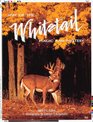 Way of the Whitetail Magic and Mystery