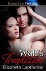 Wolf's Temptation: Chasing Love / Twin Temptations (Rutledge Werewolves)