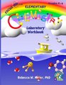 Focus On Elementary Chemistry Laboratory Workbook