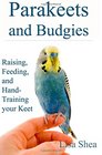 Parakeets And Budgies  Raising Feeding And HandTraining Your Keet