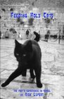 Feeding Holy Cats The Poet's Experience In Israel