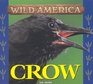 Crow