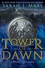 Tower of Dawn (Throne of Glass, Bk 6)