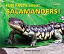 Fun Facts About Salamanders