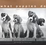 What Puppies Do 2001 Wall Calendars