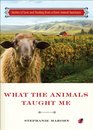 What the Animals Taught Me Stories of Love and Healing from a Farm Animal Sanctuary