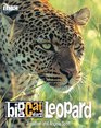 Big Cat Diary Leopard
