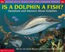 Is a Dolphin a Fish? (Scholastic Question & Answer)