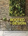 Rooted in Design Sprout Home's Guide to Creative Indoor Planting