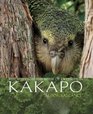 Kakapo Rescued from the Brink of Extinction