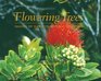 Flowering Trees Images of Hawaii's Natural Beauty