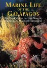 Marine Life of the Galapagos Divers' Guide to the Fish Whales Dolphins and Marine Invertebrates Second Edition