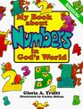 My Book about Numbers in Gods World