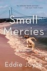 Small Mercies A Novel