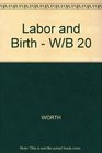 Labor and Birth  W/B 20