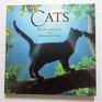 Cats An Anthology of Verse  Prose