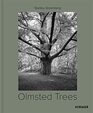 Olmsted Trees Stanley Greenberg