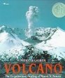 Volcano The Eruption and Healing of Mount St Helens