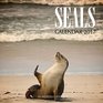 Seals Calendar 2017 16 Month Calendar