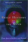 A Brief History of the Mind From Apes to Intellect and Beyond