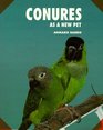 Conures As a New Pet