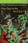 One Day in the Woods