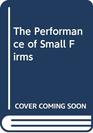 The Performance of Small Firms