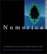 Numerica A Modeling Language for Global Optimization