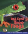RedEyed Tree Frogs