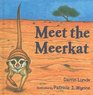 Meet the Meerkat